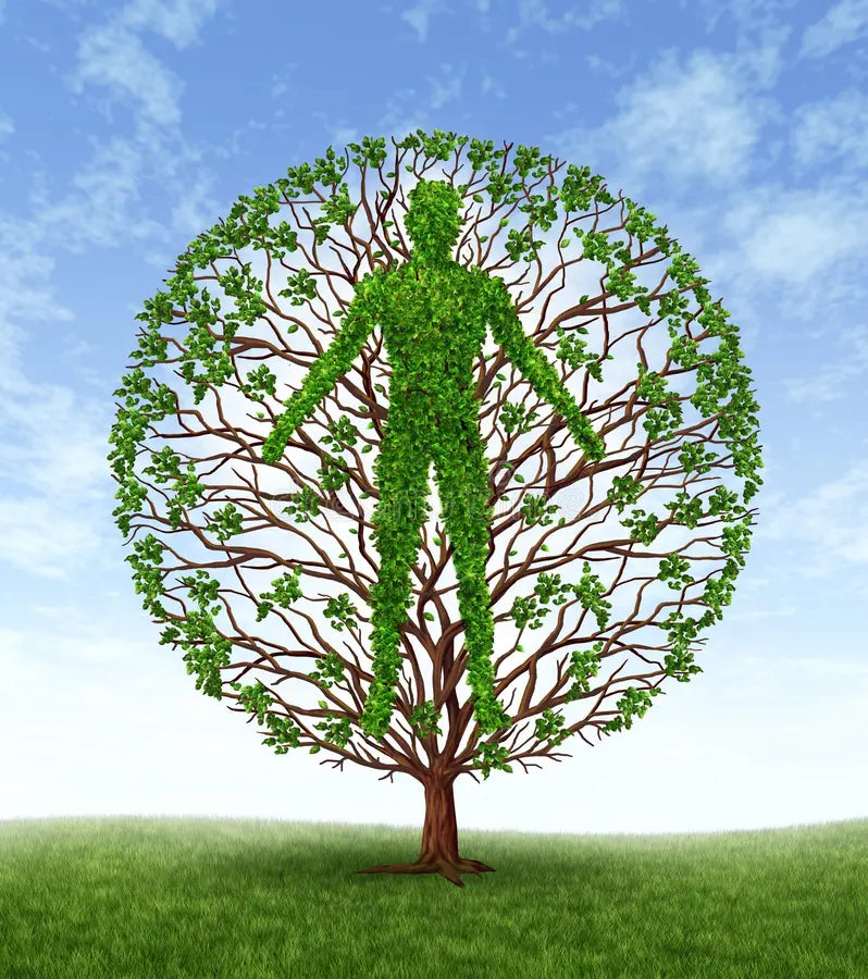 Research Peptides